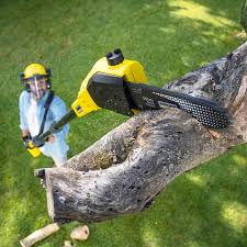 Best Pest Control for Lawns  in Harrison, OH